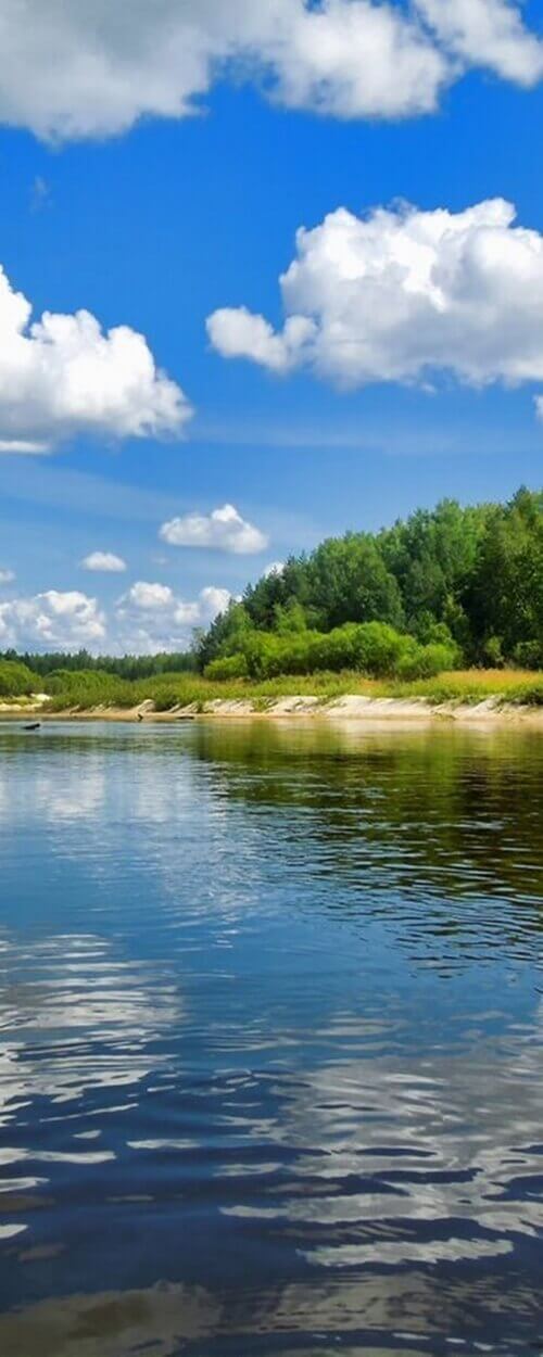 Пример изображения для макета изображения на стекле, фото 12